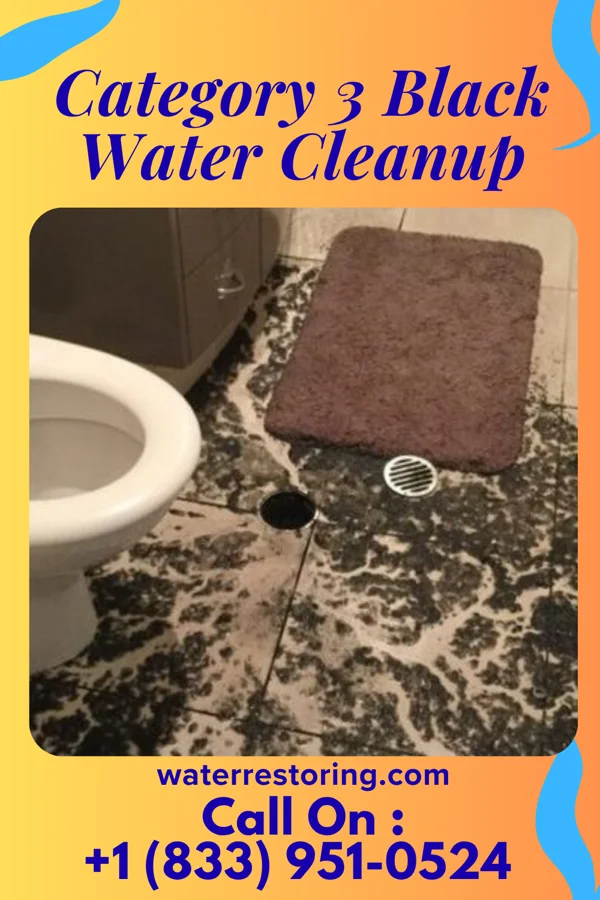 Category 3 Black Water Cleanup in Barberton, OH