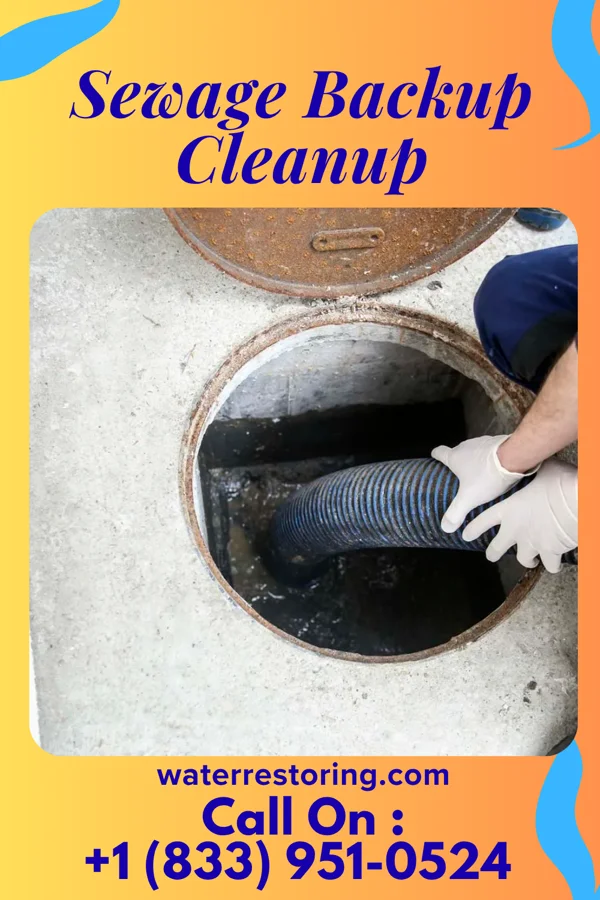 Sewage Backup Cleanup in Barberton, OH