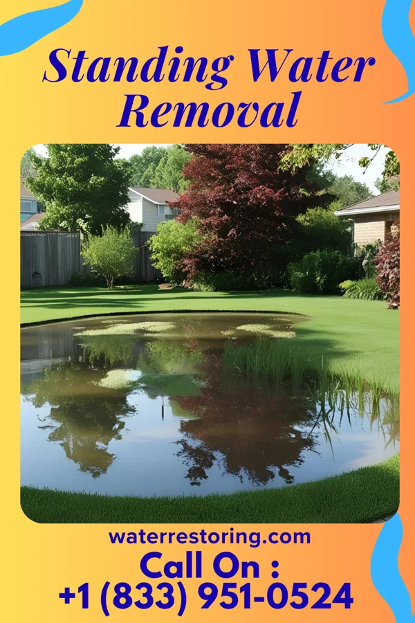 Standing Water Removal in Barberton, OH